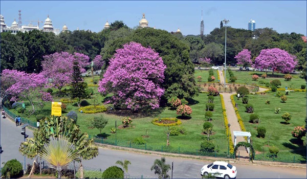 Cubbon Park